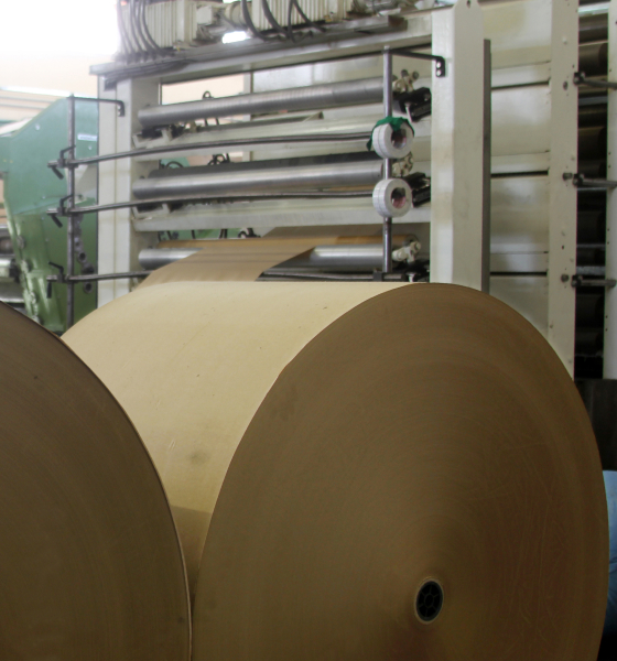 industria papelera industria papelera